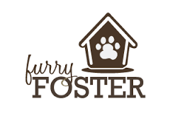 Furry Foster