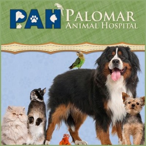 Palomar Animal Hospital